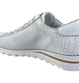 Harris Harris Veterschoen 2817 Wit