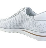 Harris Harris Veterschoen 2817 Wit