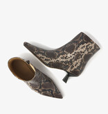 Via Vai VIA VAI Enkellaarsje Suzy Franky 62302-01-1311 Slang Via Vai VIA VAI Enkellaarsje Suzy Franky 62302-01-1311 Slang