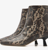 Via Vai VIA VAI Enkellaarsje Suzy Franky 62302-01-1311 Slang Via Vai VIA VAI Enkellaarsje Suzy Franky 62302-01-1311 Slang