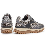 Floris van Bommel Floris van Bommel Sneaker Grommi 04.01 Zwart Combi