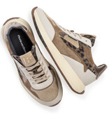 Floris van Bommel Floris van Bommel Sneaker Suvi 03.04 Taupe