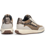Floris van Bommel Floris van Bommel Sneaker Suvi 03.04 Taupe
