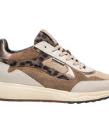 Floris van Bommel Floris van Bommel Sneaker Suvi 03.04 Taupe