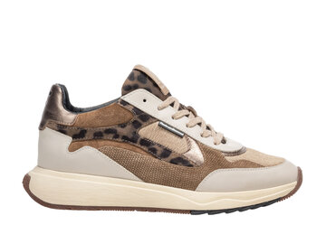 Floris van Bommel Floris van Bommel Sneaker Suvi 03.04 Taupe Floris van Bommel Floris van Bommel Sneaker Suvi 03.04 Taupe
