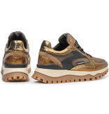 Floris van Bommel Floris van Bommel Sneaker Grommi 03.00 Goud