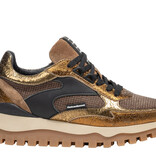 Floris van Bommel Floris van Bommel Sneaker Grommi 03.00 Goud