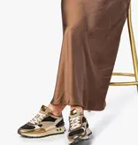 Floris van Bommel Floris van Bommel Sneaker Blokki 04.00 Goud