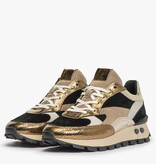 Floris van Bommel Floris van Bommel Sneaker Blokki 04.00 Goud
