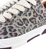 DWRS DWRS Sneakers Whitby J6972-02 Luipaard