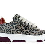DWRS DWRS Sneakers Whitby J6972-02 Luipaard