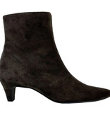 Paul Green Paul Green Enkellaarsje 8288-008 Bruin