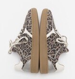 DWRS DWRS Sneakers Mirabel B11548-05 Luipaard