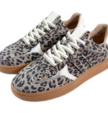 DWRS DWRS Sneakers Mirabel B11548-05 Luipaard