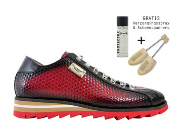 Harris Harris Veterschoen 2892 Rood