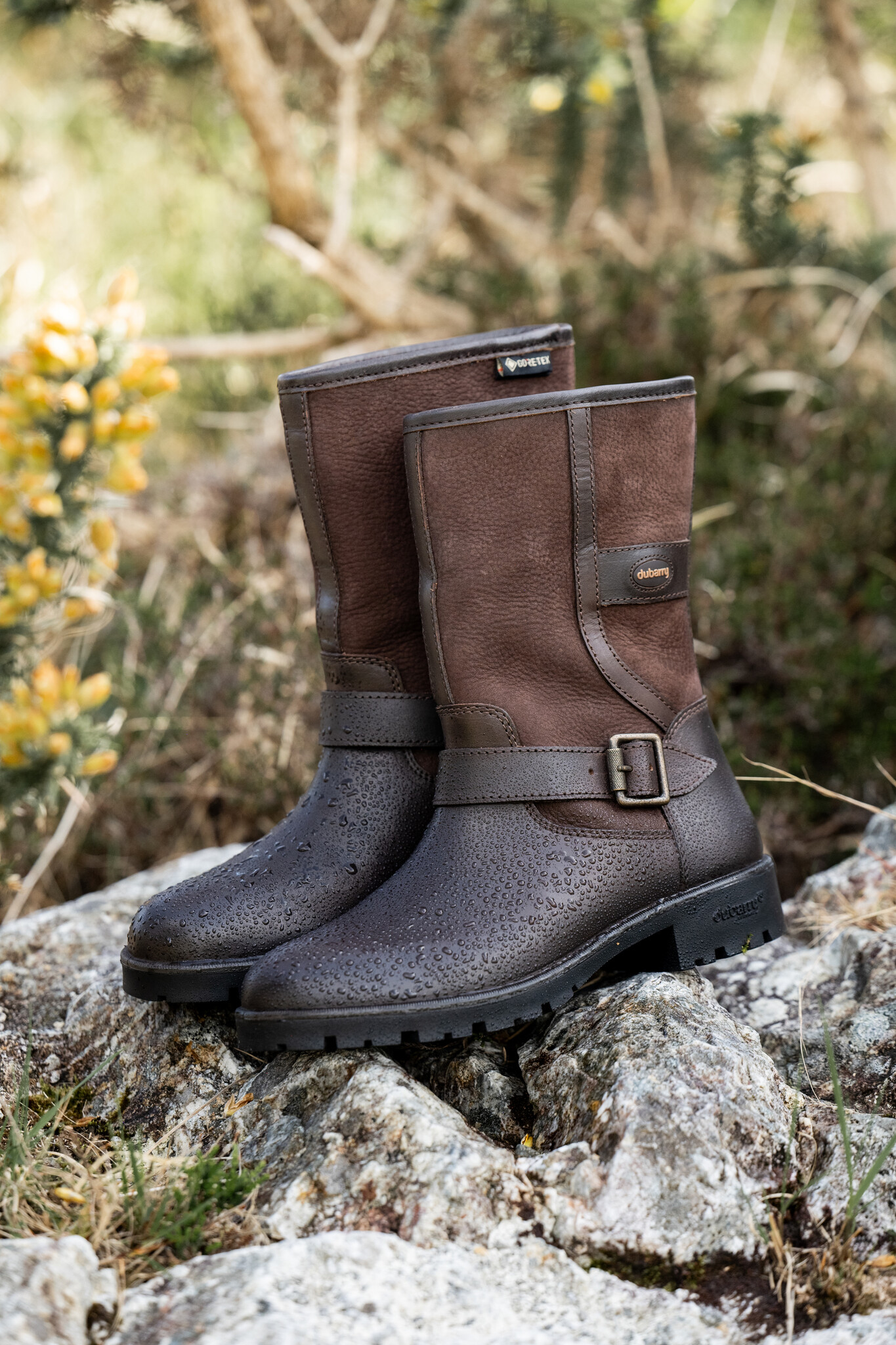 Dubarry Dubarry Laars Leopardstown 3646-50 Bruin