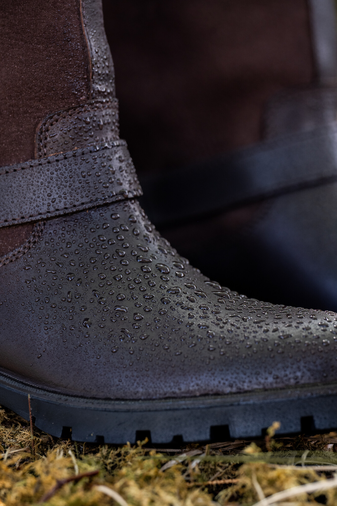 Dubarry Dubarry Laars Leopardstown 3646-50 Bruin