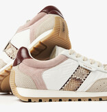 Via Vai VIA VAI Sneakers Scott Sara 62399-02-308 Multi