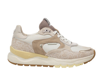 Floris van Bommel Floris van Bommel Sneaker Treni 02.00 Taupe