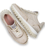 Floris van Bommel Floris van Bommel Sneaker Grommi 02.12 Taupe