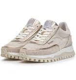 Floris van Bommel Floris van Bommel Sneaker Grommi 02.12 Taupe