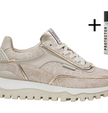 Floris van Bommel Floris van Bommel Sneaker Grommi 02.12 Taupe