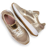 Floris van Bommel Floris van Bommel Sneaker Suvi 04.03 Goud