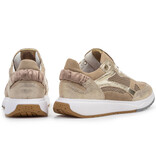 Floris van Bommel Floris van Bommel Sneaker Suvi 04.03 Goud