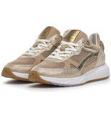 Floris van Bommel Floris van Bommel Sneaker Suvi 04.03 Goud
