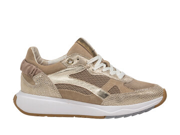 Floris van Bommel Floris van Bommel Sneaker Suvi 04.03 Goud