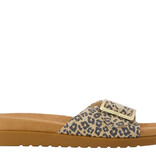 TOMS TOMS Sandaal Marin 10023094 Luipaard