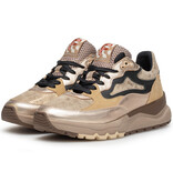 Floris van Bommel Floris van Bommel Sneaker Treni 01.18 Goud
