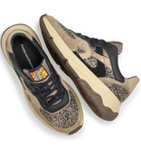 Floris van Bommel Floris van Bommel Sneaker Holli 01.00 Taupe