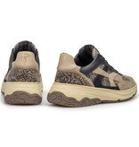 Floris van Bommel Floris van Bommel Sneaker Holli 01.00 Taupe