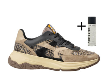 Floris van Bommel Floris van Bommel Sneaker Holli 01.00 Taupe