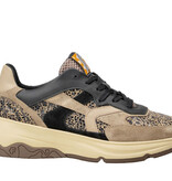Floris van Bommel Floris van Bommel Sneaker Holli 01.00 Taupe