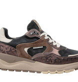 Floris van Bommel Floris van Bommel Sneaker Treni 02.08 Brons