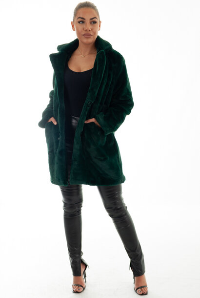 Chloe Button Coat Green