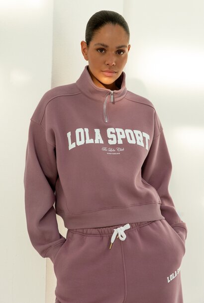 Jayla Half Zip Sweater Mauve