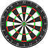 Professional Dartbord Professional Dartbord