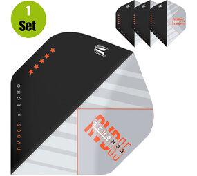 Target Target Raymond van Barneveld Echo Dartflights - Grijs Target Target Raymond van Barneveld Echo Dartflights - Grijs