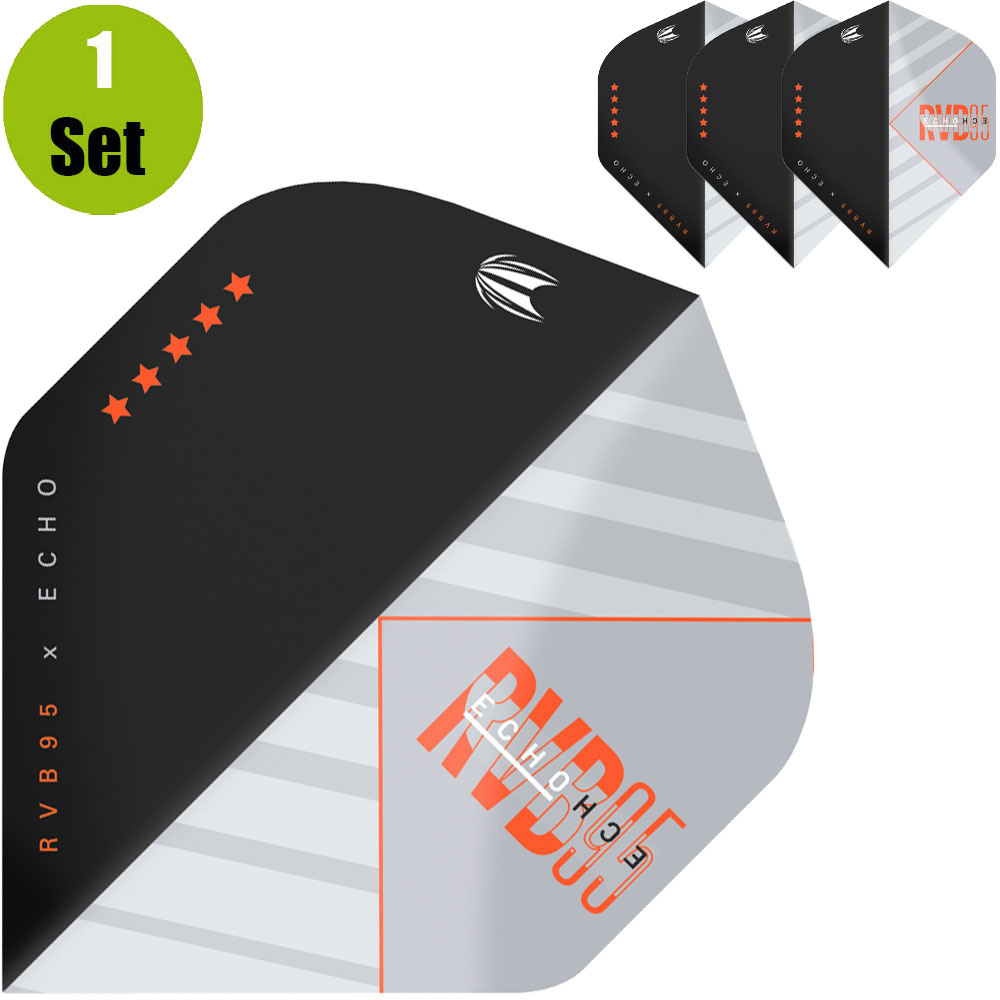 Target Target Raymond van Barneveld Echo Dartflights - Grijs afbeelding