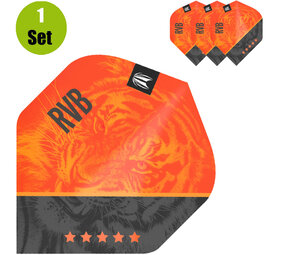 Target Target Raymond van Barneveld Dartflight G4 Target Target Raymond van Barneveld Dartflight G4