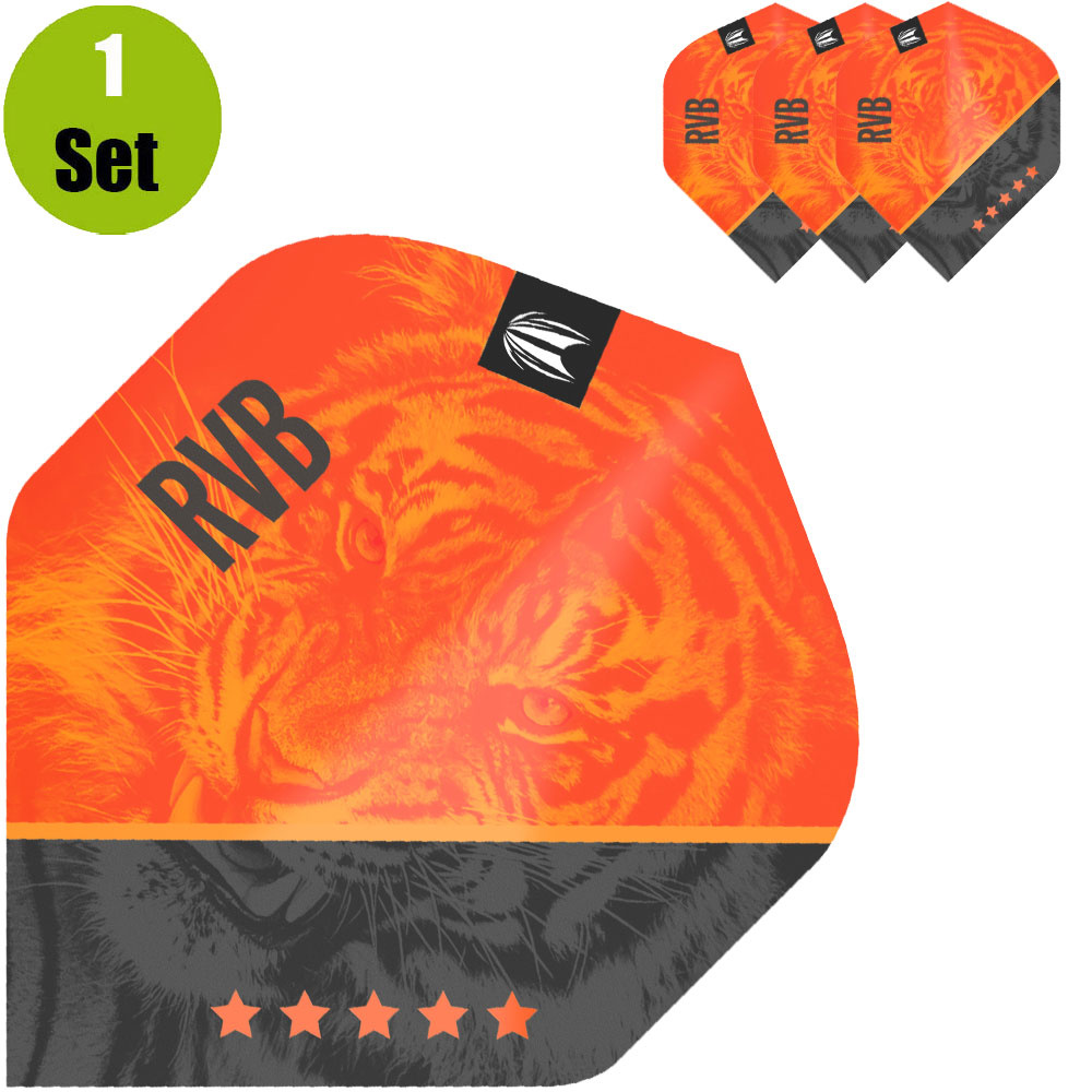 Target Target Raymond van Barneveld Dartflight G4 afbeelding