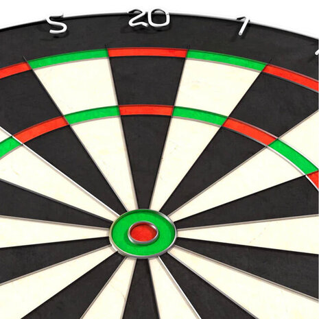 Dartshop Leiden Dartbord Bedrukken