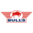 Bulls Dartmatten