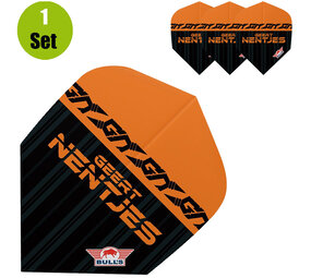 Bulls Geert Nentjes 80 Dartflight