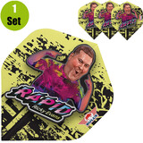 Bulls Ricky Evans 80 Dartflight