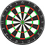 Dartbord Set inclusief Lena Professional