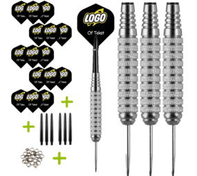 Lena Dartpijlen Set Gepersonaliseerd Silver Lena Dartpijlen Set Gepersonaliseerd Silver